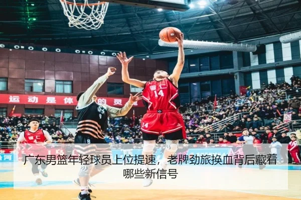 广东男篮年轻球员上位提速，老牌劲旅换血背后藏着哪些新信号（bet365）